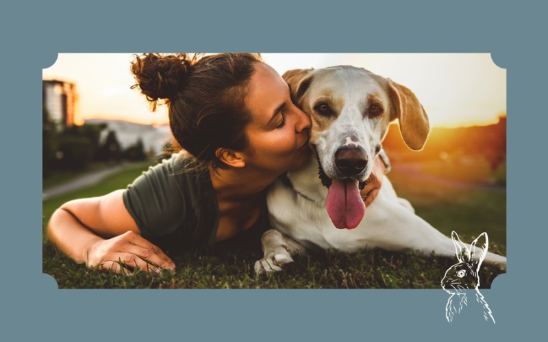 a person lying on grass with a dog