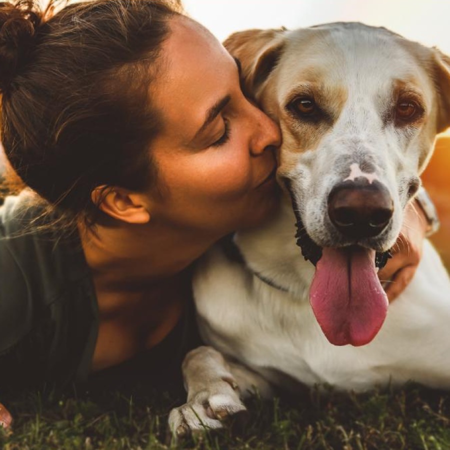 a person lying on grass with a dog